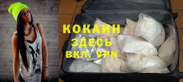 гашик Дмитров