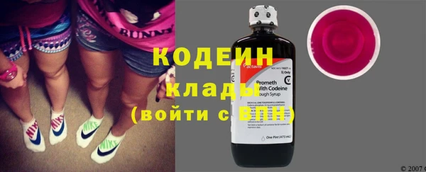 гашик Дмитров