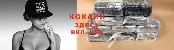 гашик Дмитров