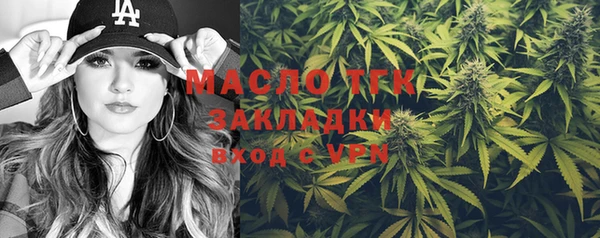 гашик Дмитров
