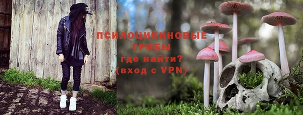 гашик Дмитров