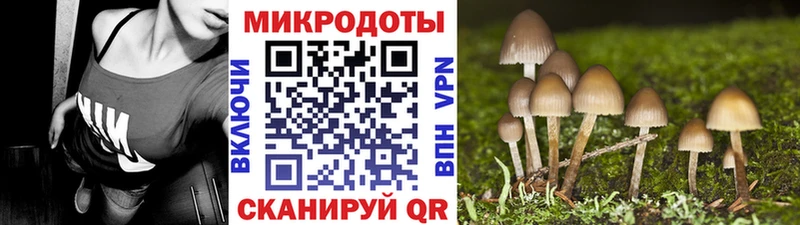 Галлюциногенные грибы MAGIC MUSHROOMS  это телеграм  Наро-Фоминск  цена наркотик 