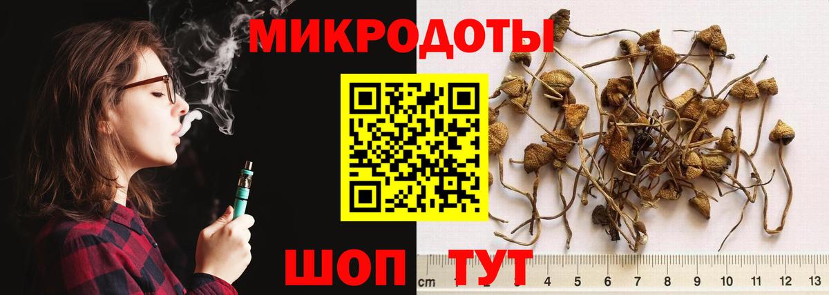 Псилоцибиновые грибы мицелий  Вход с VPN  Наро-Фоминск 